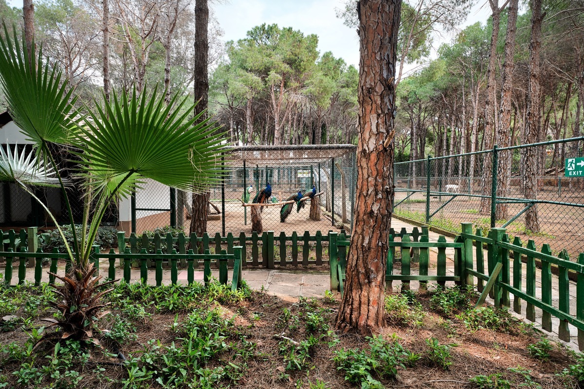 Отель Bellis Deluxe Hotel 5